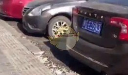 抖音汽车爆料视频大全最新,最新车型大盘点，揭秘热门车款背后的秘密